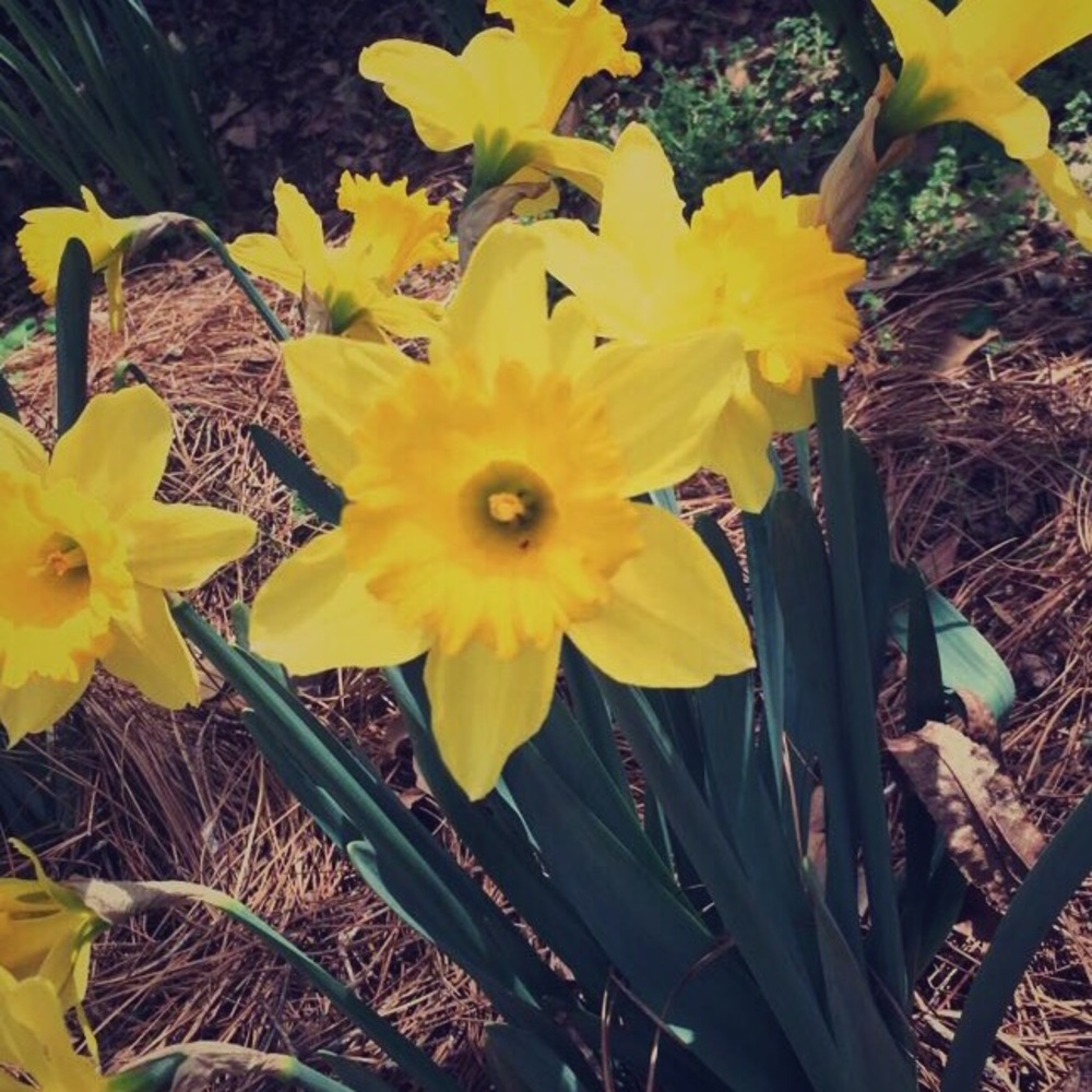 Meet your Posher, Grace